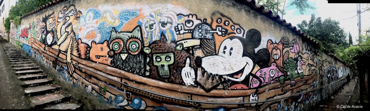 street art Rue Joséphin Soulary