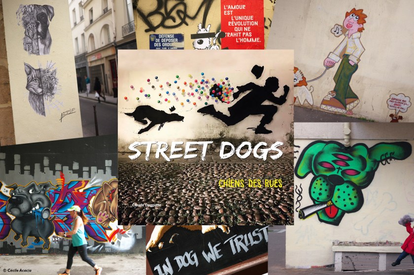 Couv street dogs