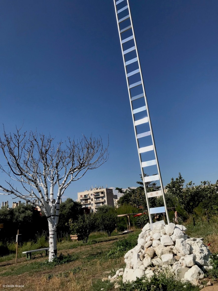 Rodolphe Cintorino (Emancipation Couvent Levat)