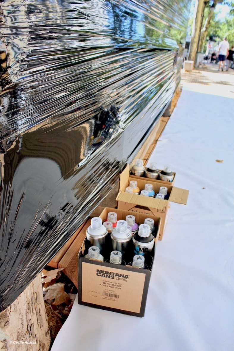 RDV graffiti XRousse COKG