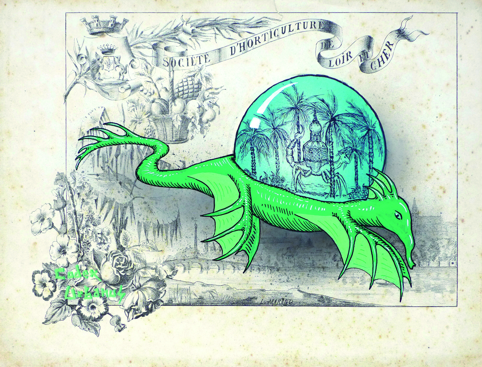 Codex Urbanus Botanica