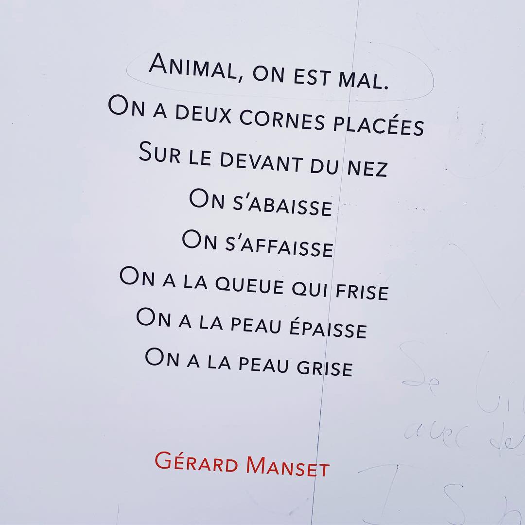 Gérard Manset Printemps des Poètes 2019
