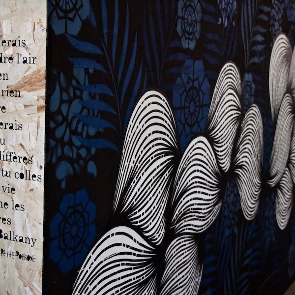 Petite Poissonne & WENC