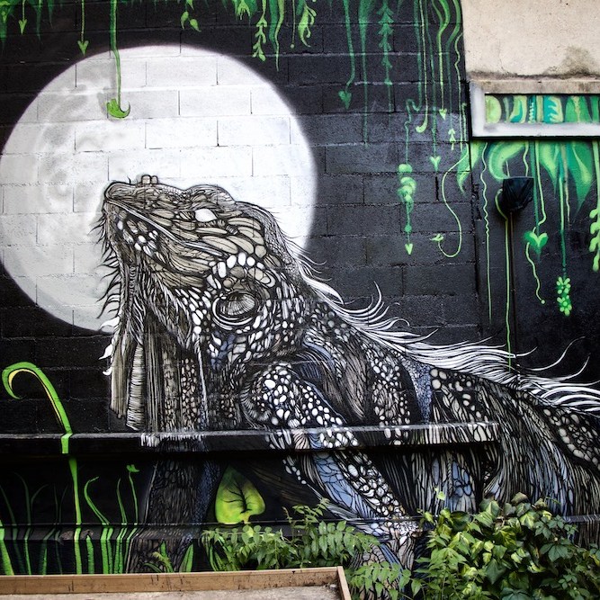 NHOBI ©Cecile Eynard