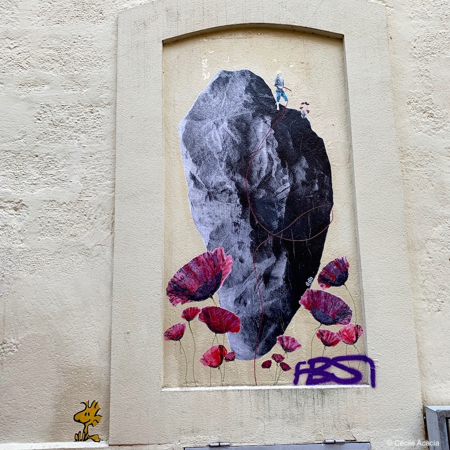 street art Montpellier Débit de Beau