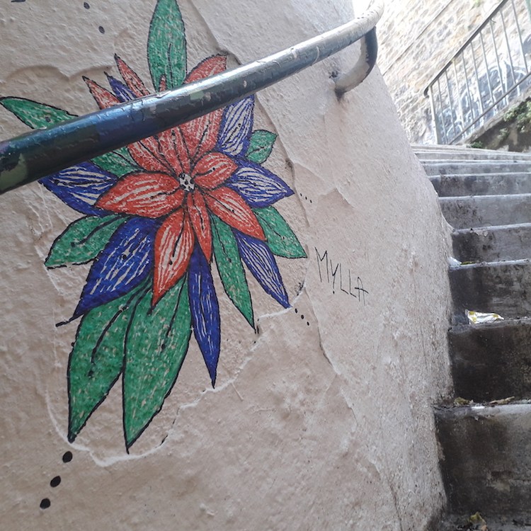 Les coquelicots de Mylla