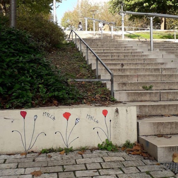 Les coquelicots de Mylla