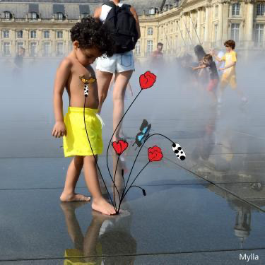 Les coquelicots de Mylla