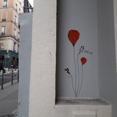 Les coquelicots de Mylla