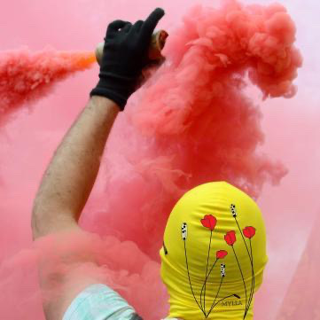 Les coquelicots de Mylla