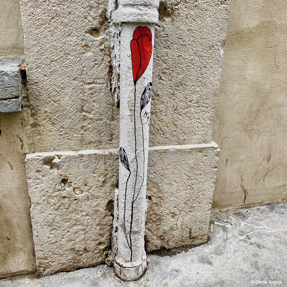 Les coquelicots de Mylla