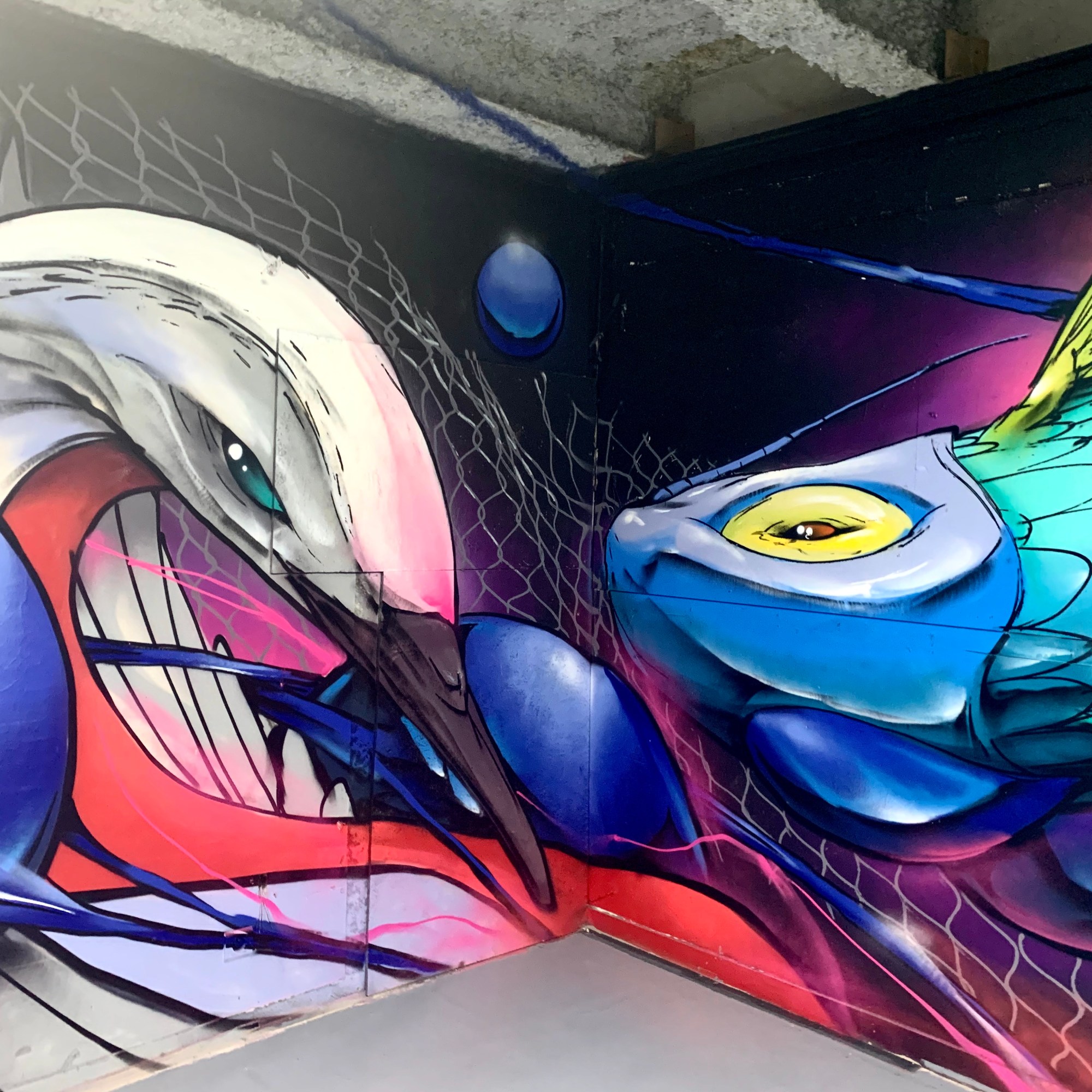 JEROO - ZOO ART SHOW