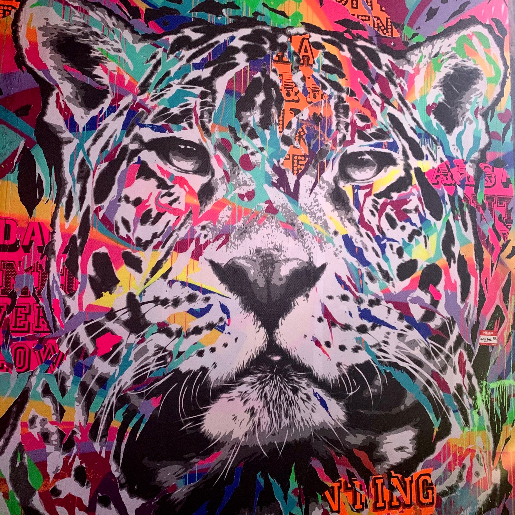 JO DI BONA - ZOO ART SHOW