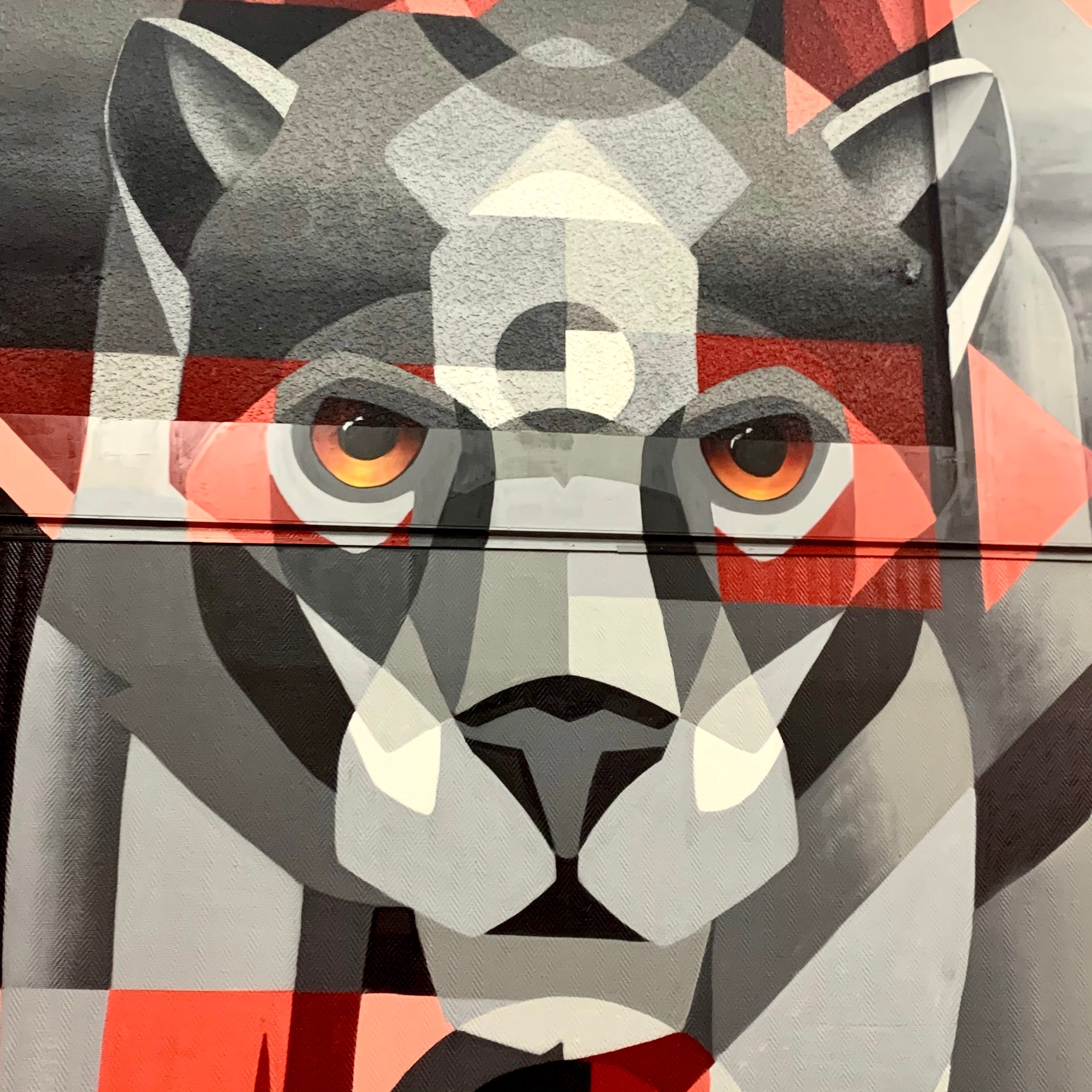 KATACTION - ZOO ART SHOW