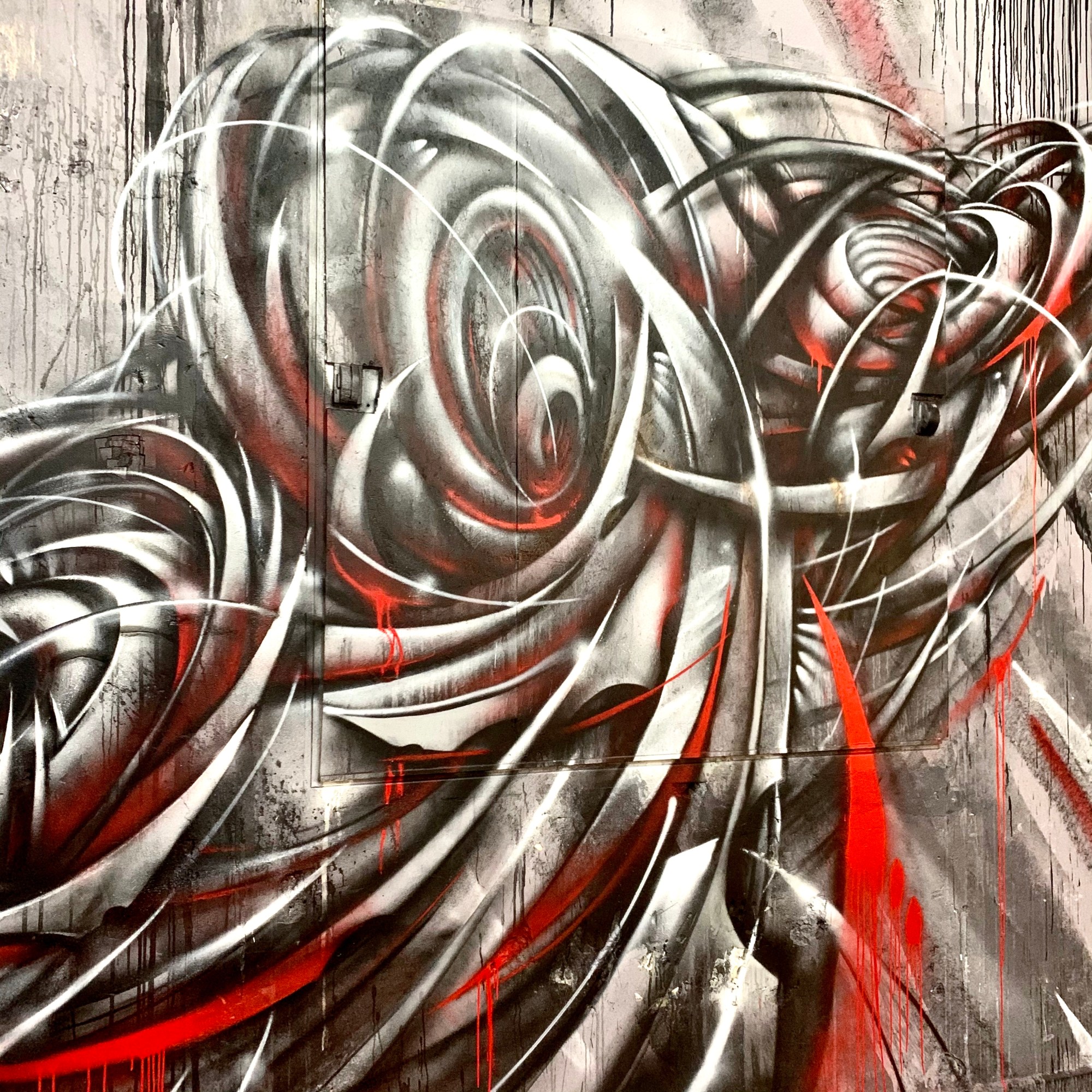 REAONE - ZOO ART SHOW