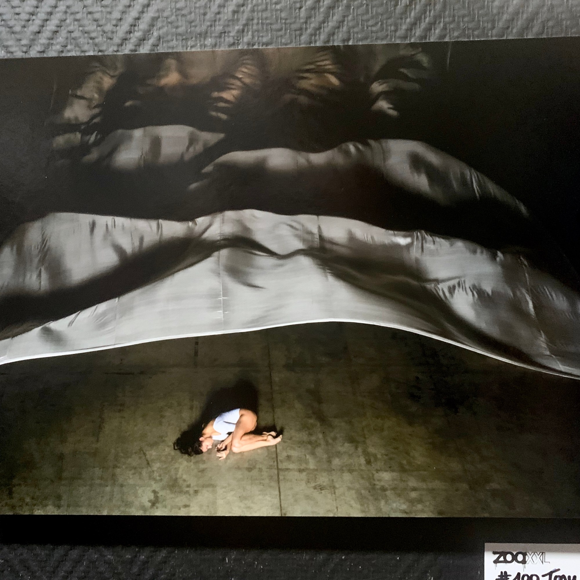 TONY NOEL - ZOO ART SHOW