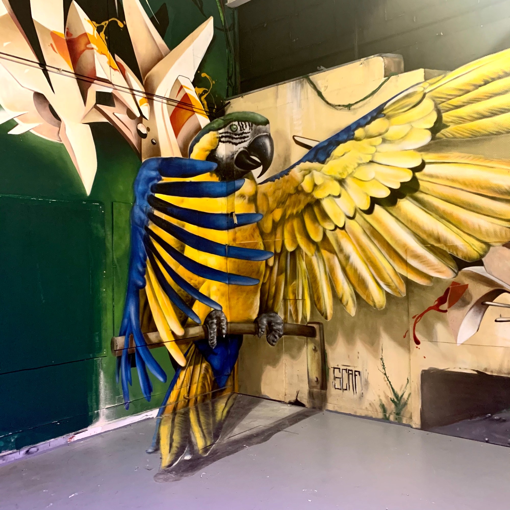 VALER & SCAF - ZOO ART SHOW