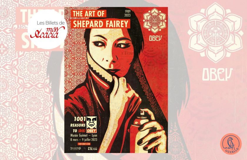 Couverture article expo shepard fairey